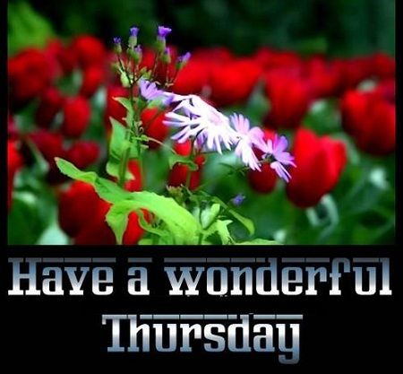 Have a wonderful thursday