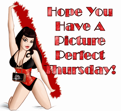 Hope you have a picture perfect thursday