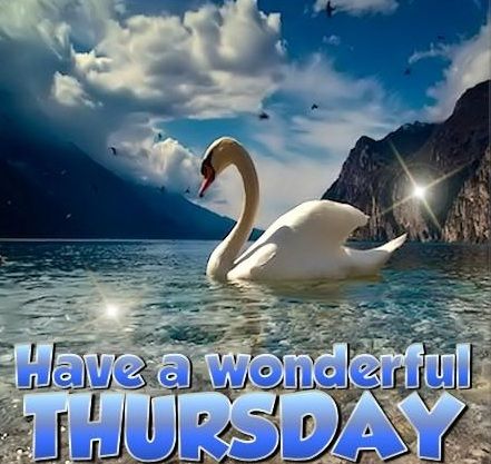 Have a wonderful thursday