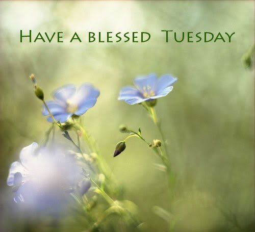 Have a blessed tuesday - DesiComments.com