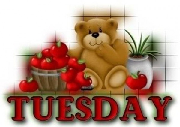 Lovely tuesday teddy