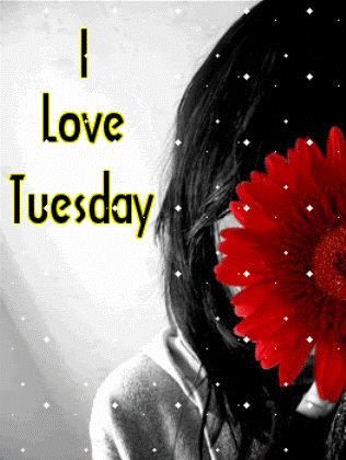 I love tuesday