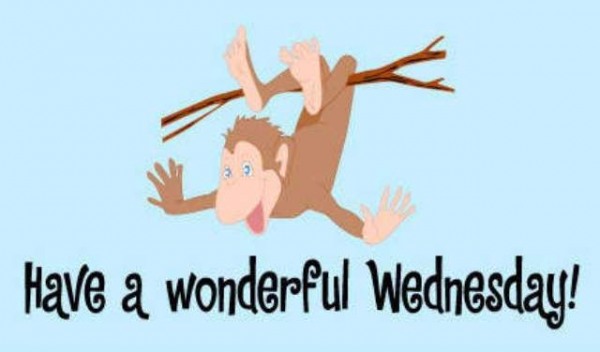 Have a wondeful wednesday