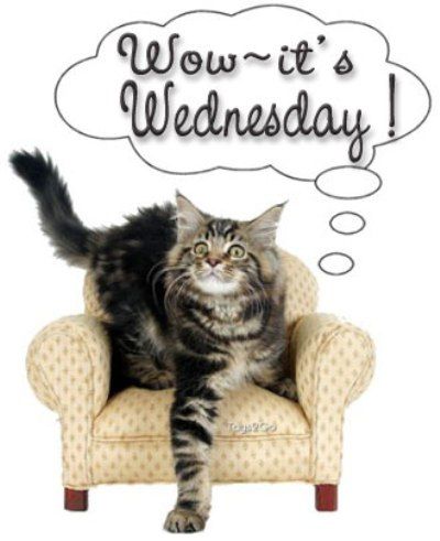 Wow-its wednesday