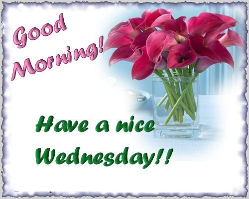 Good morning & Happy wednesday