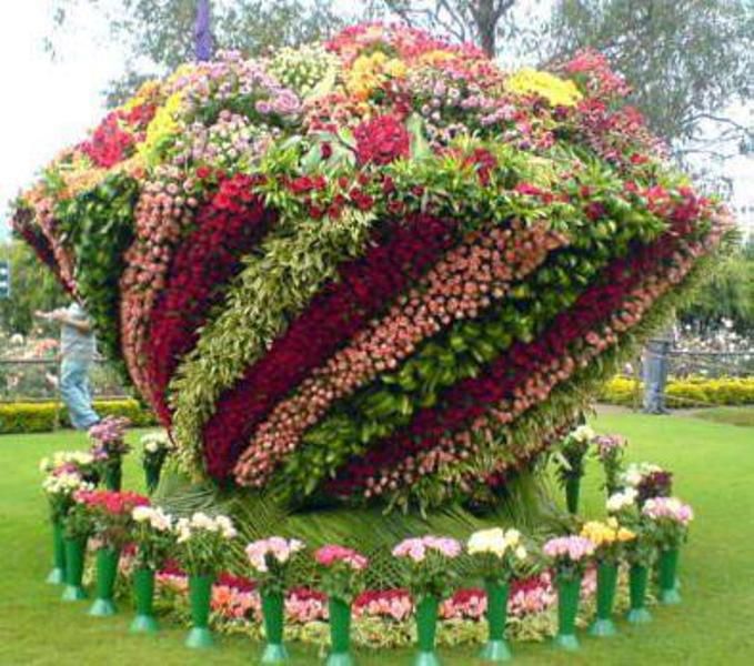 Biggest Bouquet - DesiComments.com