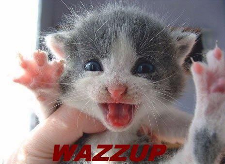 Wazzup