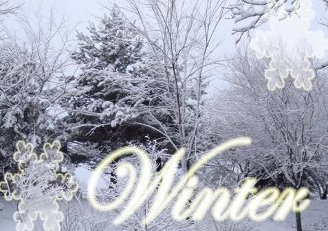 Nice winter pic