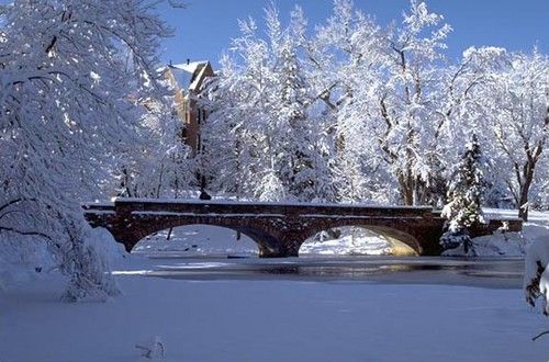 Bridge winter