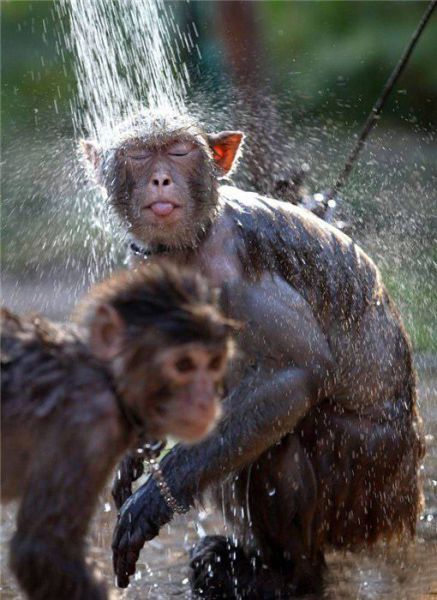 Shower In Summer