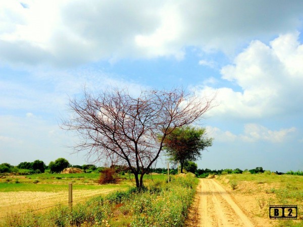 A Peaceful Way To Village