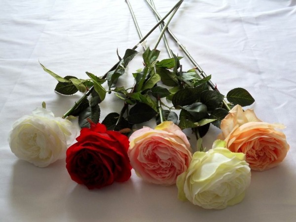 Five Colorful Roses