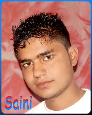 Vk Saini