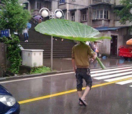 Funny Umbrella