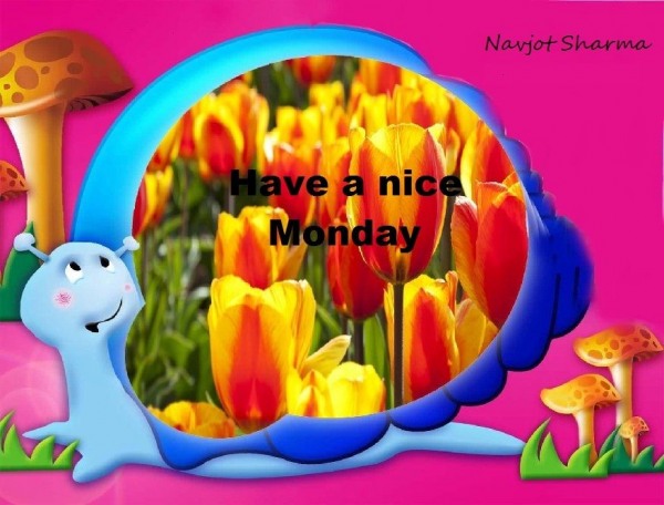 Have a nice monday