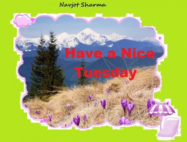 Have a nice tuesday