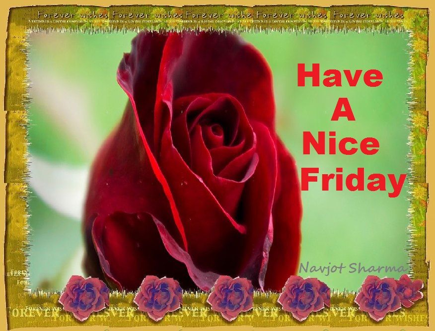 Have a nice friday - DesiComments.com
