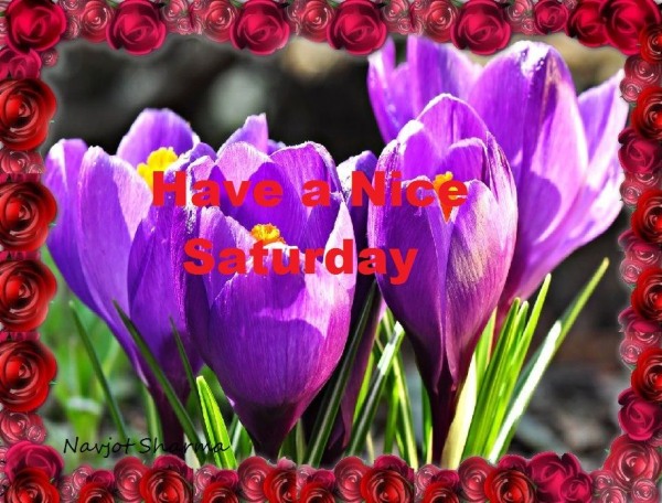 Have a nice saturday