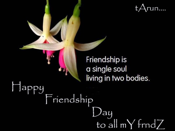 Happy Friendship Day To All Friends