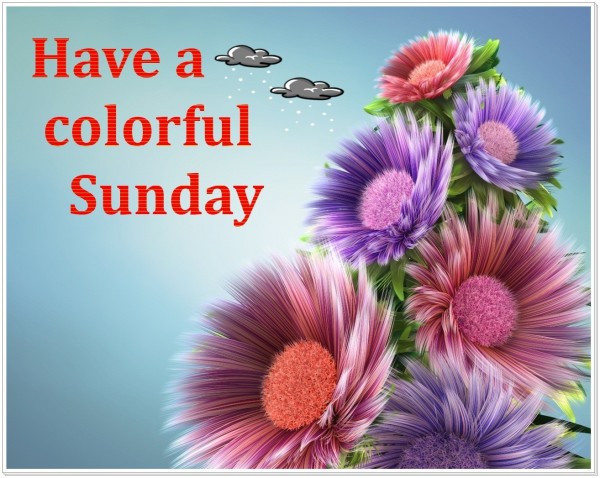 Have A Colorful Sunday