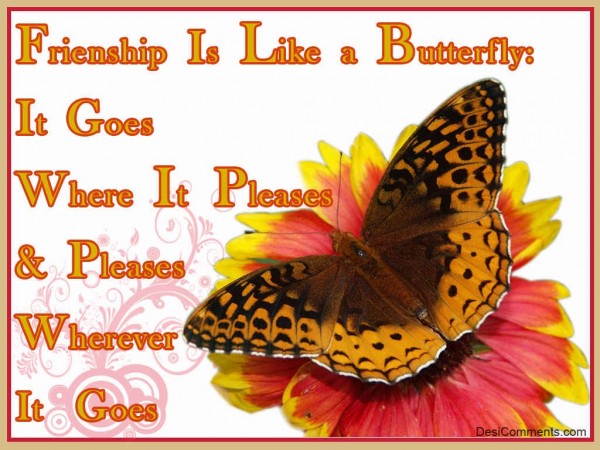 Friendship Is Like A Butterfly