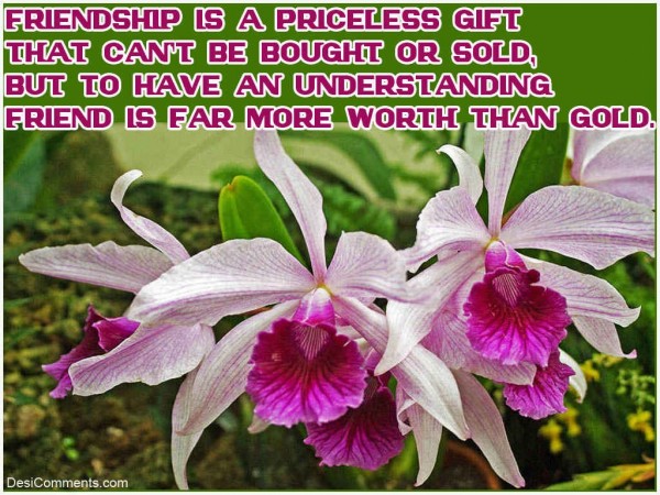 Friendship Is A Priceless Gift