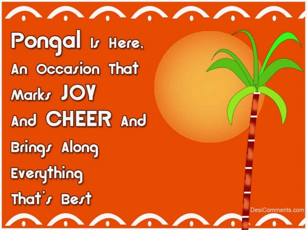 Happy Pongal