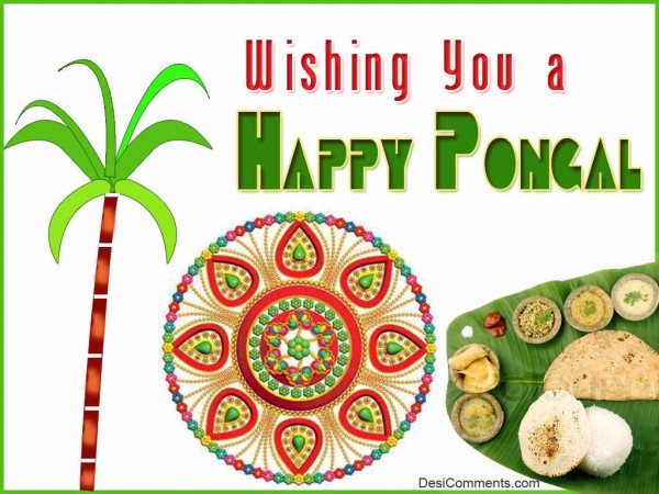 Wishing You A Happy Pongal