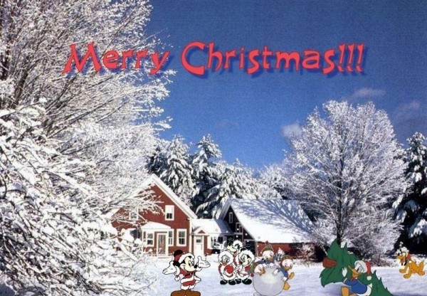 Merry Christmas