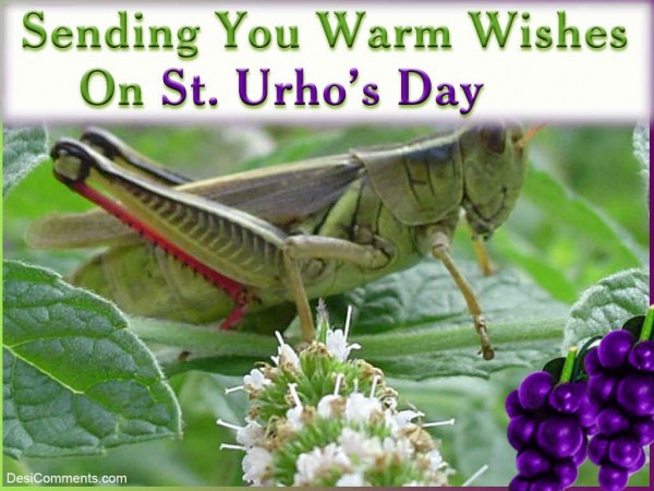 Sending You Warm Wishes On St. Urho's Day