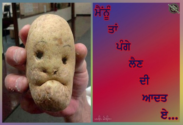 Punjabi Funny