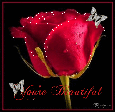 You are Beautiful Rose Graphic - DesiComments.com