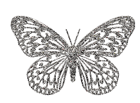 Lovely Butterfly Graphic