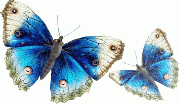 Double Shade Butterflies