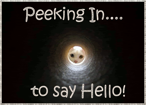 Peeking In To Say Hello! - DesiComments.com