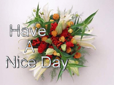 Nice Day-Flowers Graphic