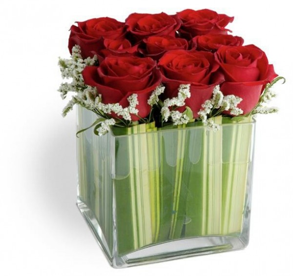 Cool Red Roses