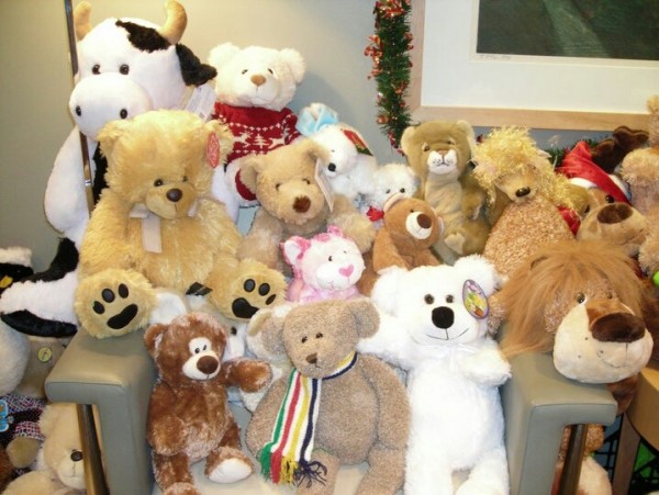 World Of Teddy Bears