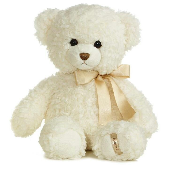 a teddy