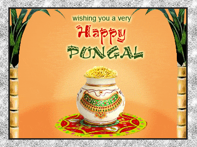 Wishing-Happy Pongal!