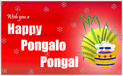 Wish you Happy Pongal!