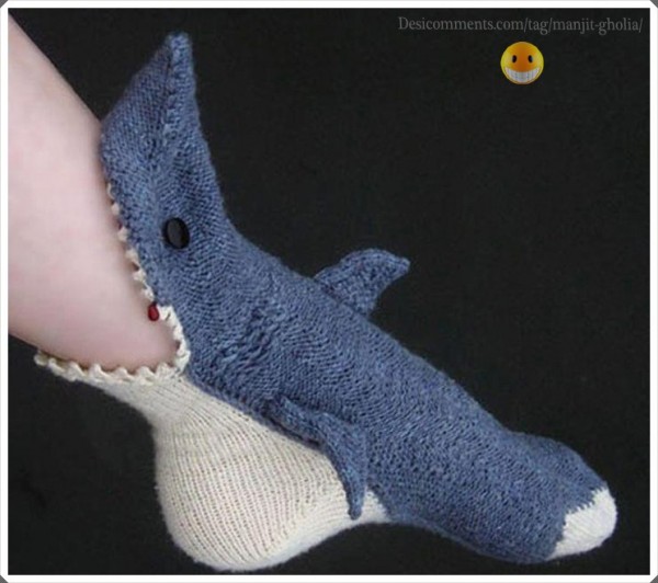 Dolphin Socks