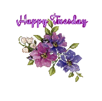 Happy Tuesday - DesiComments.com