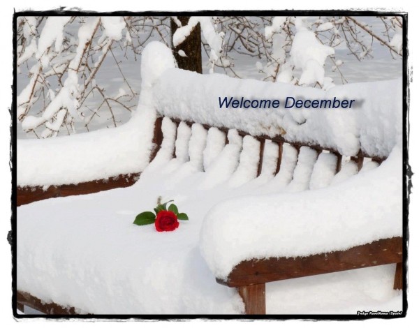 Welcome December