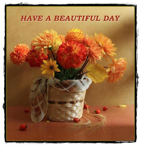 Have A Beautiful Day