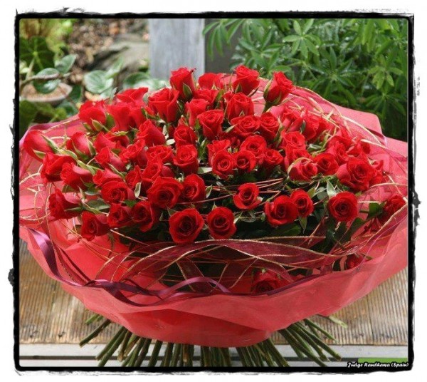 Bouquet Of Red Roses