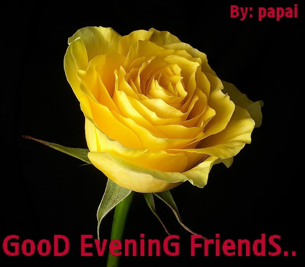 Good Evening - DesiComments.com