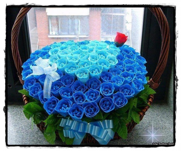 Blue Roses