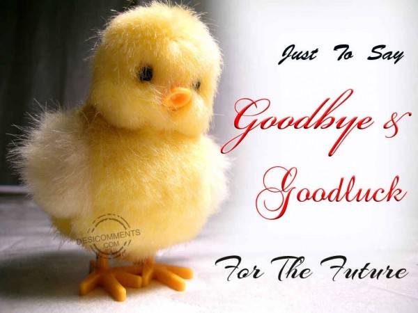 Just To Say Goodbye