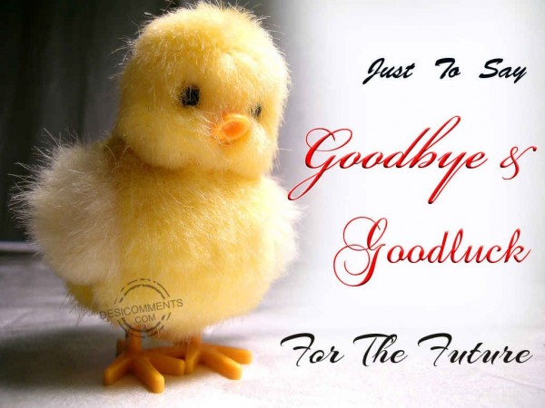 Just To Say Goodbye 